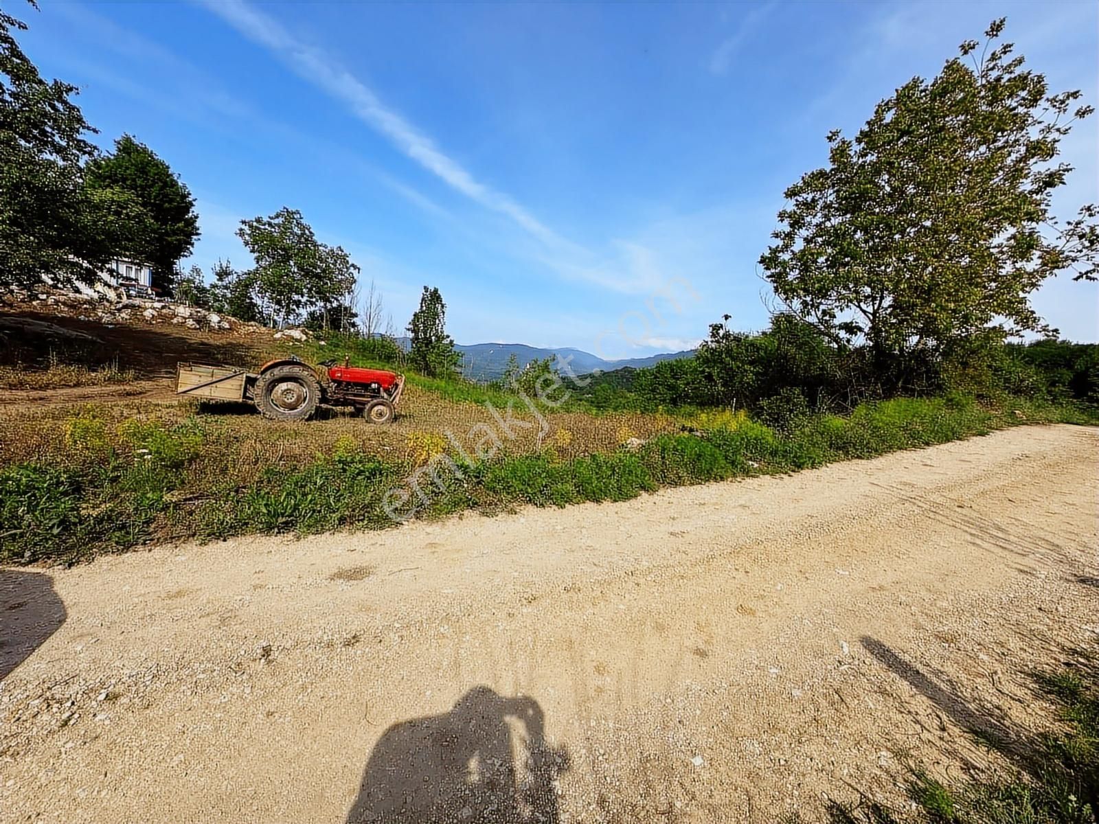 Akçakoca Subaşında İmarlı Satılık 2.824 M2 Arsa - Görsel 15