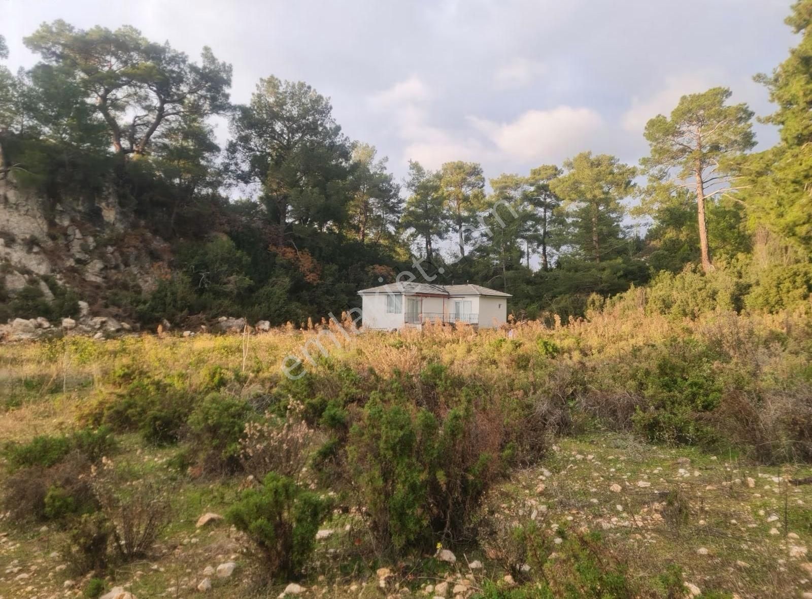 Yaka Mh.satılık 2200 M2 Satılık Tarla. - Görsel 9