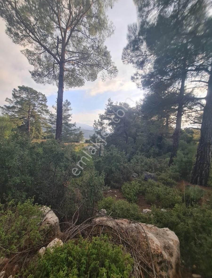 Yaka Mh.satılık 2200 M2 Satılık Tarla. - Görsel 30