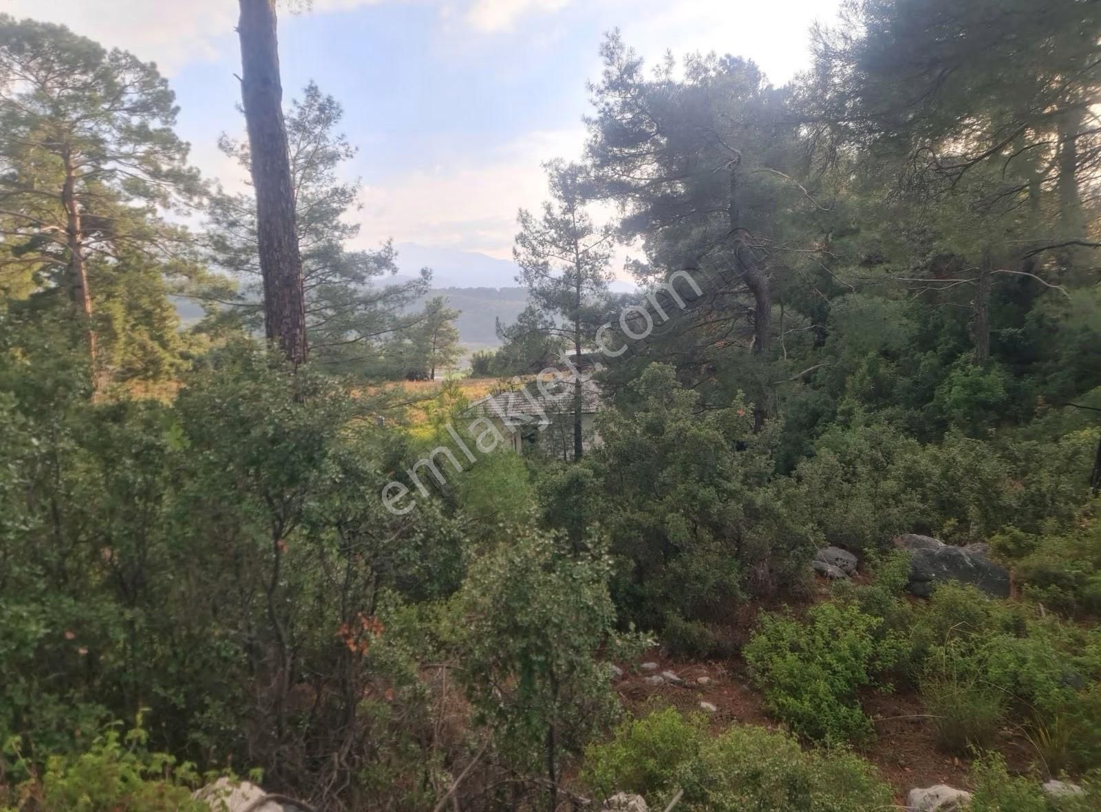 Yaka Mh.satılık 2200 M2 Satılık Tarla. - Görsel 34