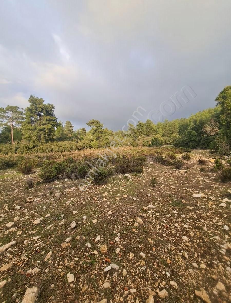 Yaka Mh.satılık 2200 M2 Satılık Tarla. - Görsel 26