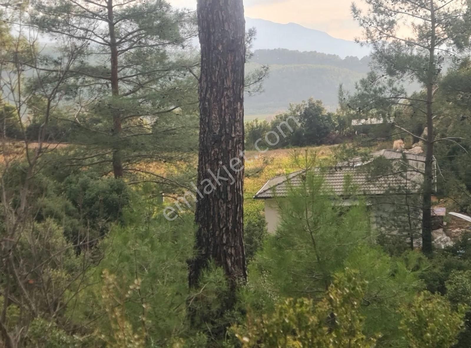 Yaka Mh.satılık 2200 M2 Satılık Tarla. - Görsel 6