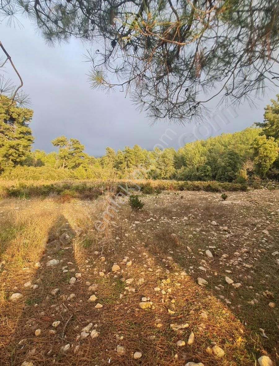 Yaka Mh.satılık 2200 M2 Satılık Tarla. - Görsel 13
