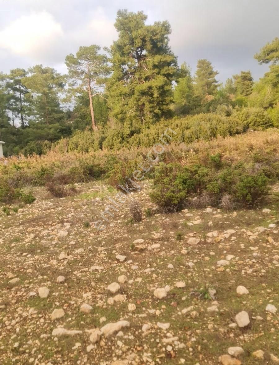 Yaka Mh.satılık 2200 M2 Satılık Tarla. - Görsel 12
