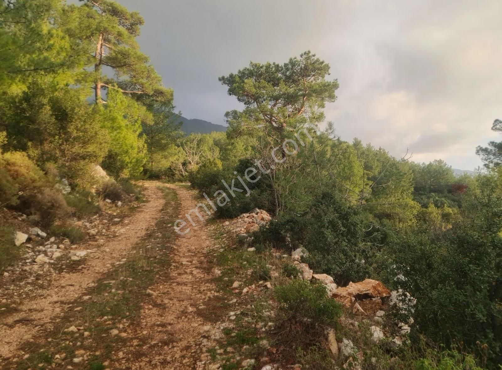 Yaka Mh.satılık 2200 M2 Satılık Tarla. - Görsel 19