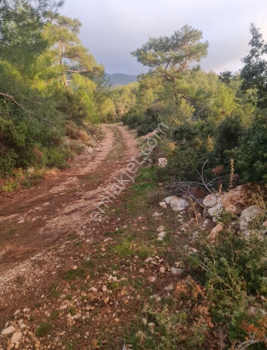 Yaka Mh.satılık 2200 M2 Satılık Tarla. - Görsel 35
