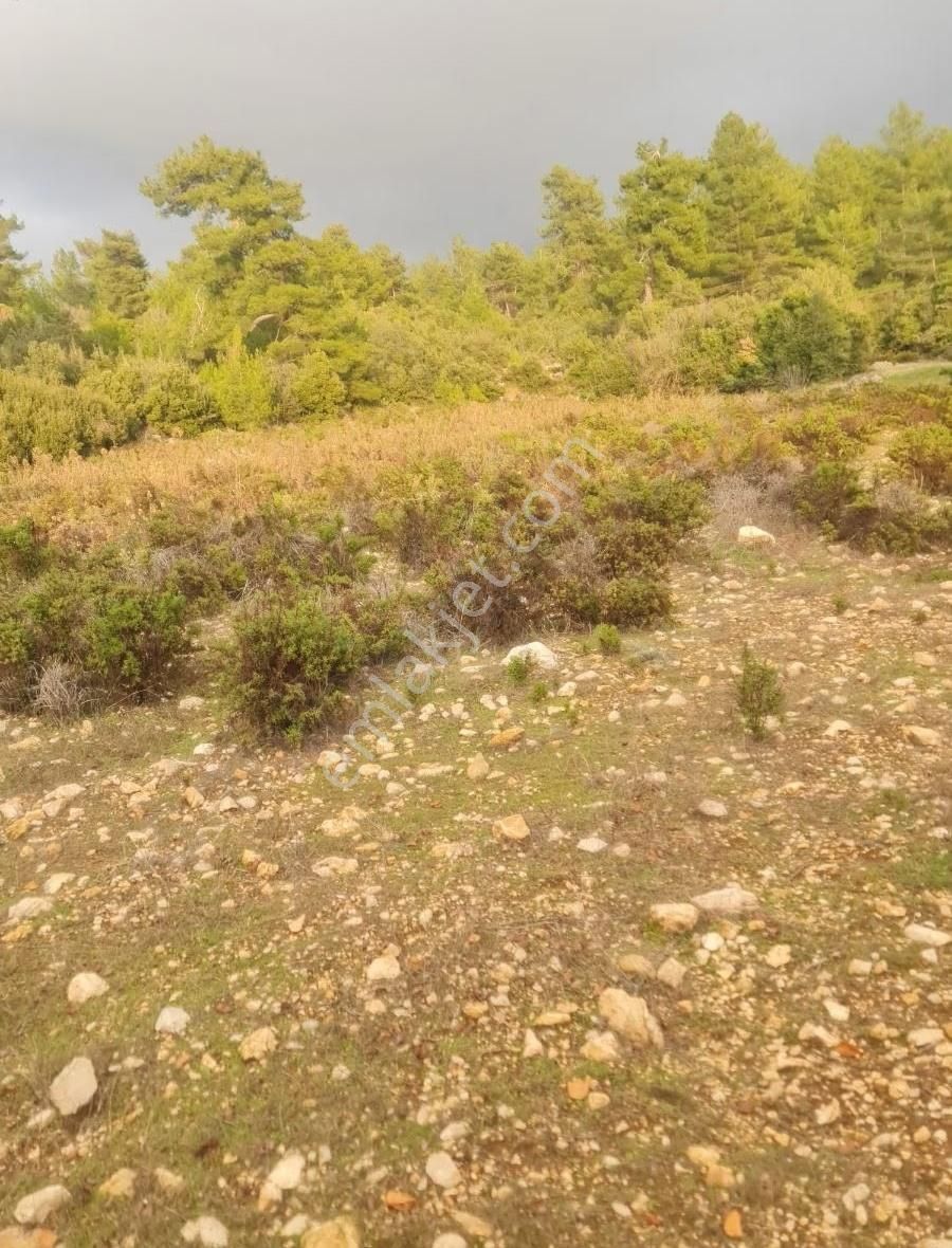 Yaka Mh.satılık 2200 M2 Satılık Tarla. - Görsel 11