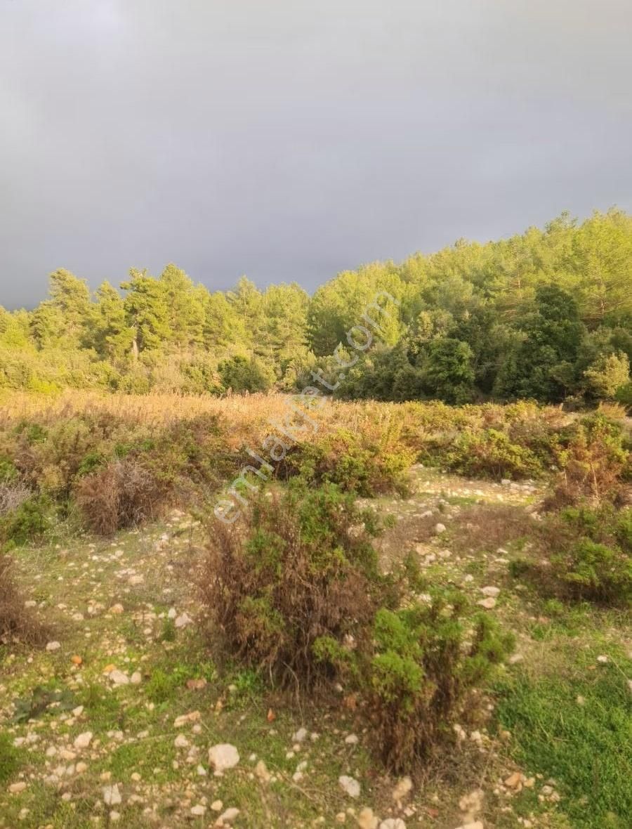 Yaka Mh.satılık 2200 M2 Satılık Tarla. - Görsel 17