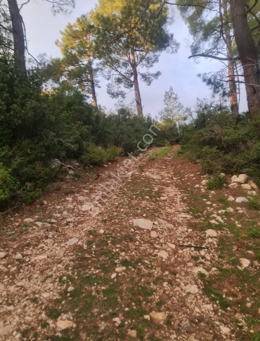 Yaka Mh.satılık 2200 M2 Satılık Tarla. - Görsel 4