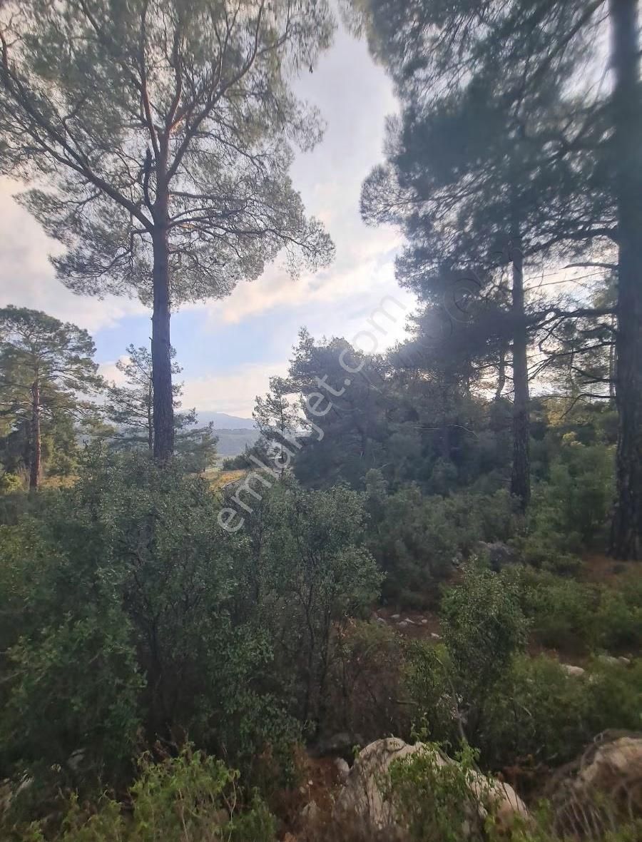 Yaka Mh.satılık 2200 M2 Satılık Tarla. - Görsel 3