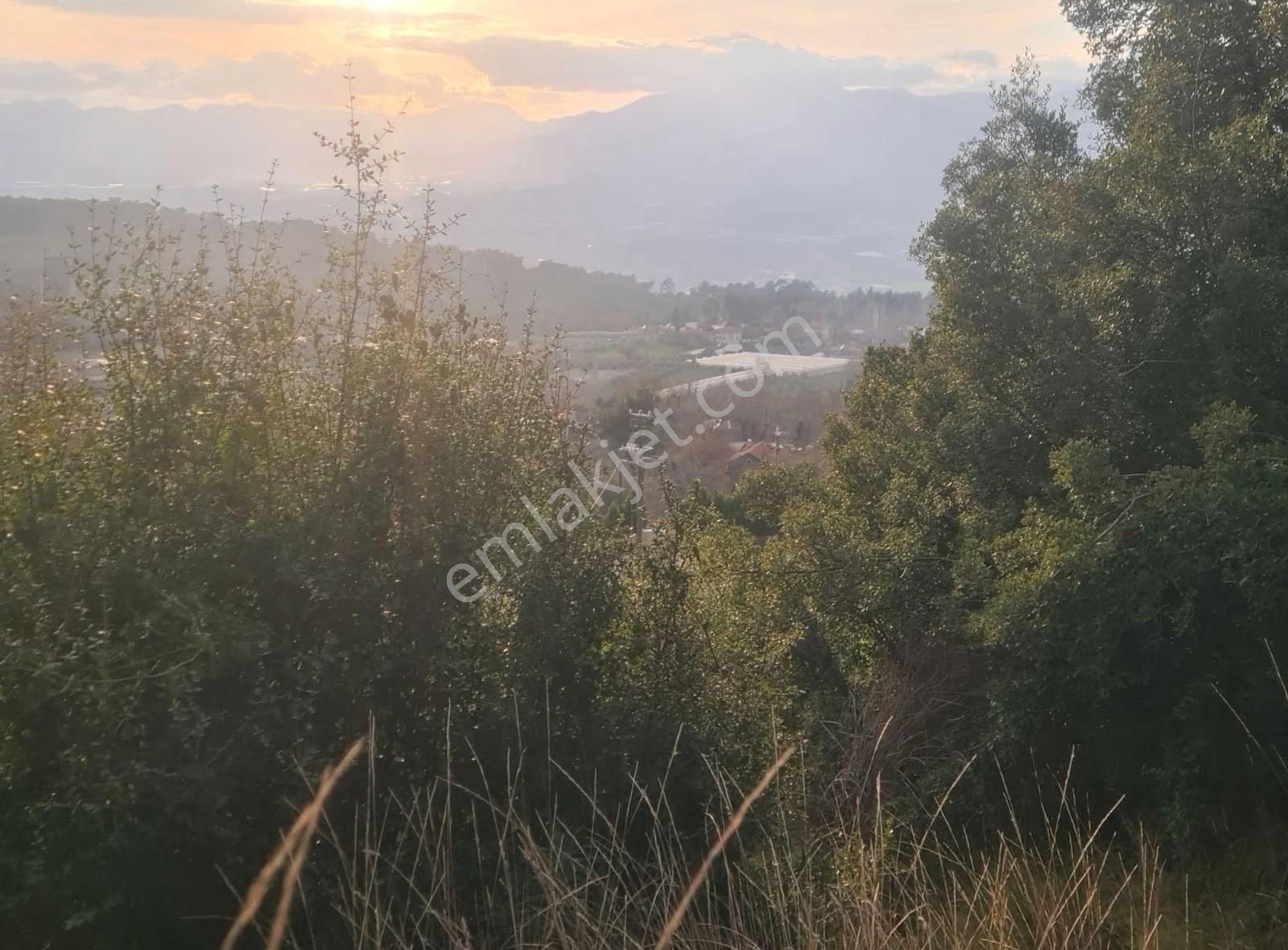 Yaka Mh.satılık 2200 M2 Satılık Tarla. - Görsel 20