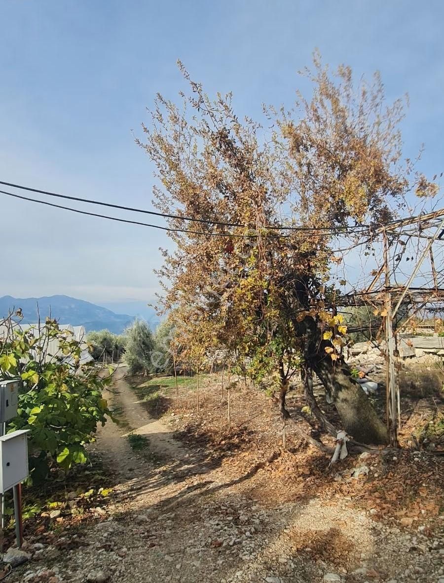 Yakaköyde Satılık Köy Evi - Görsel 20