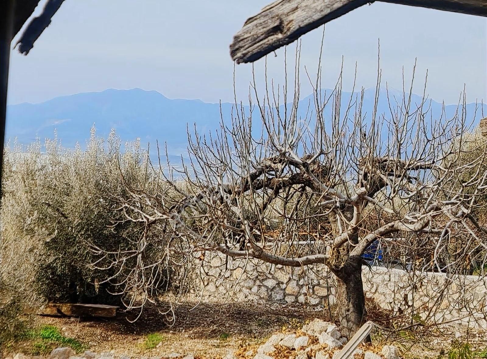 Yakaköyde Satılık Köy Evi - Görsel 7