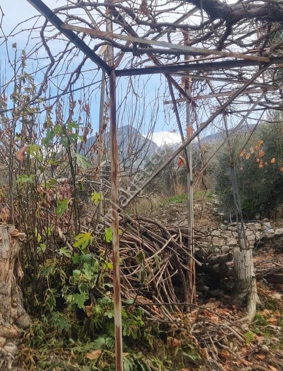 Yakaköyde Satılık Köy Evi - Görsel 12