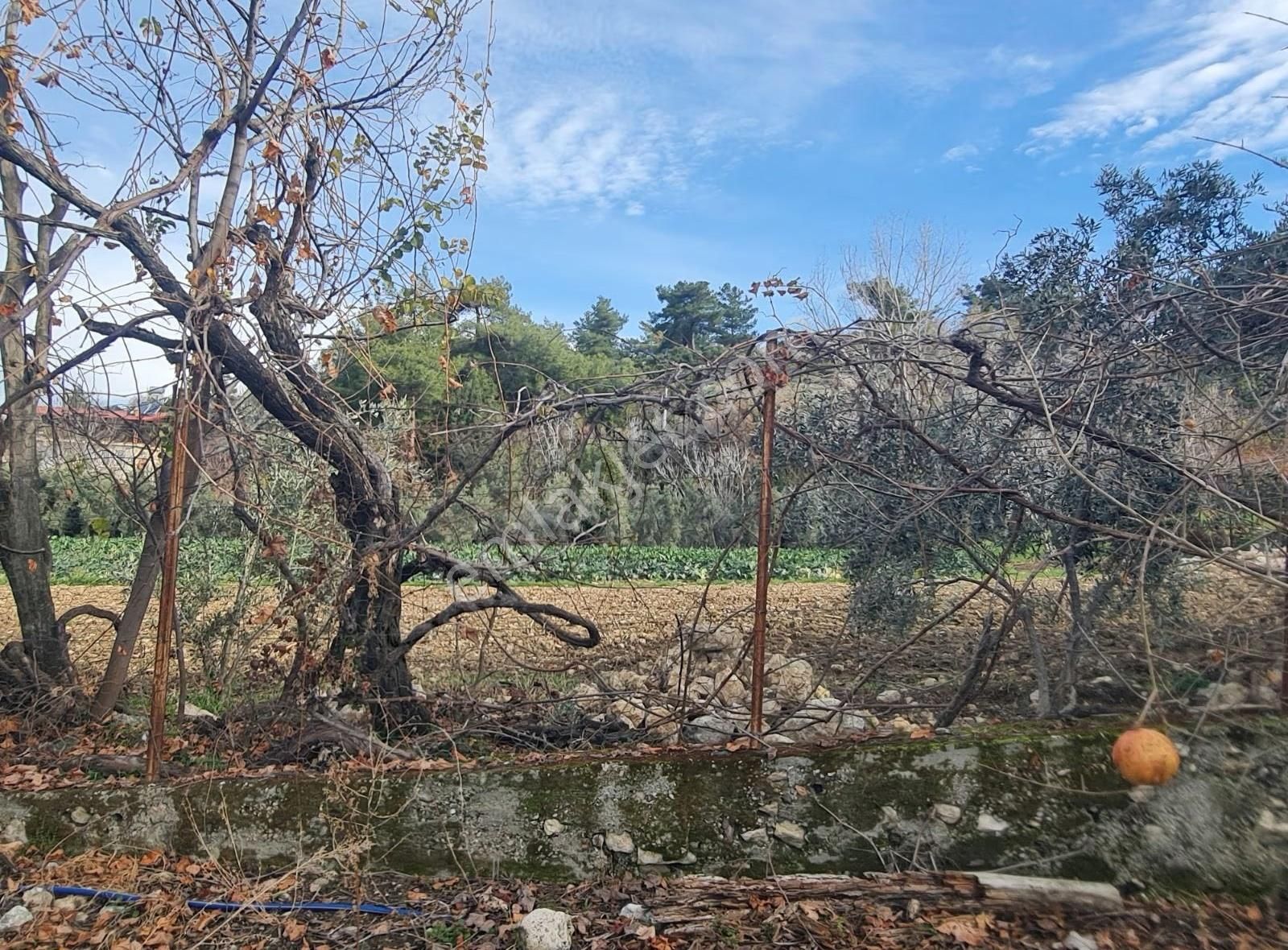 Yakaköyde Satılık Köy Evi - Görsel 35
