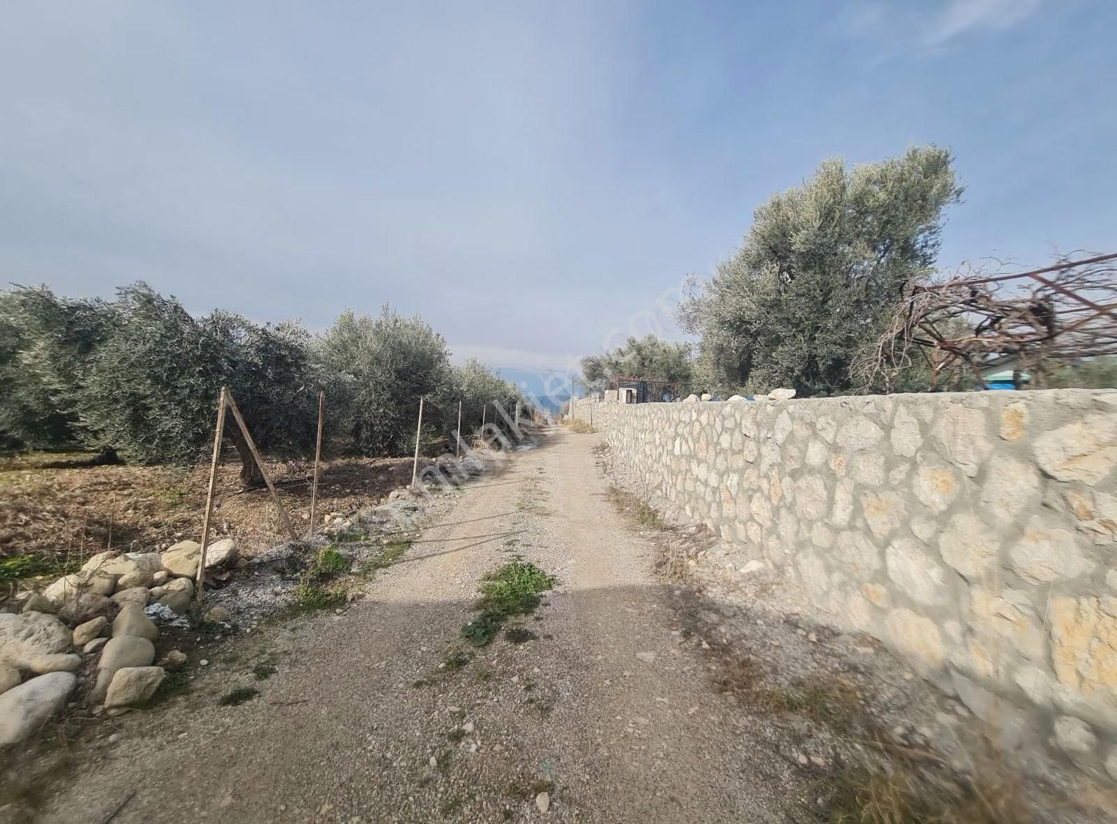 Yakaköyde 598 M2 Tarla Satılık. - Görsel 6