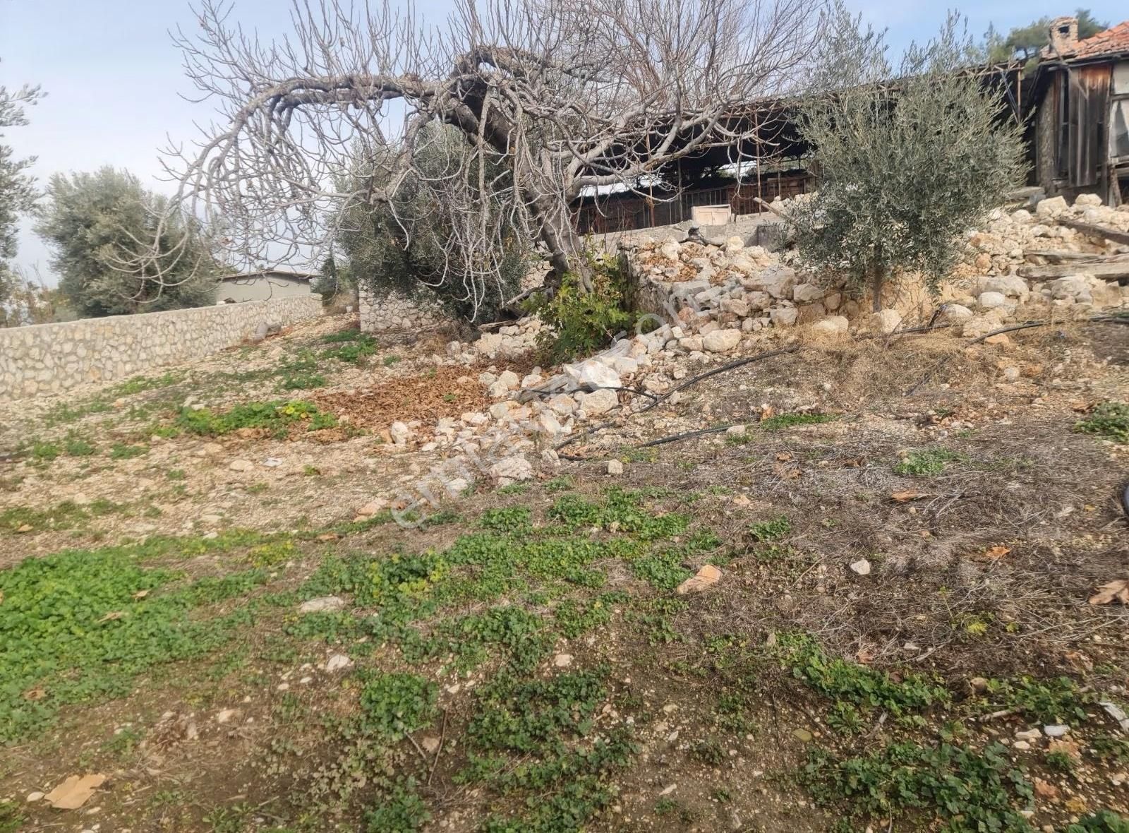 Yakaköyde 598 M2 Tarla Satılık. - Görsel 17