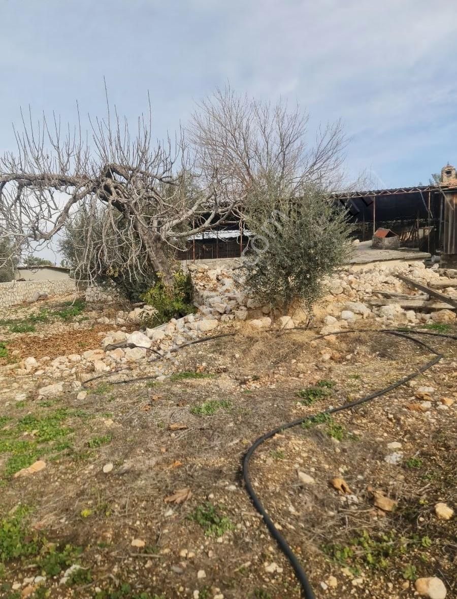 Yakaköyde 598 M2 Tarla Satılık. - Görsel 13