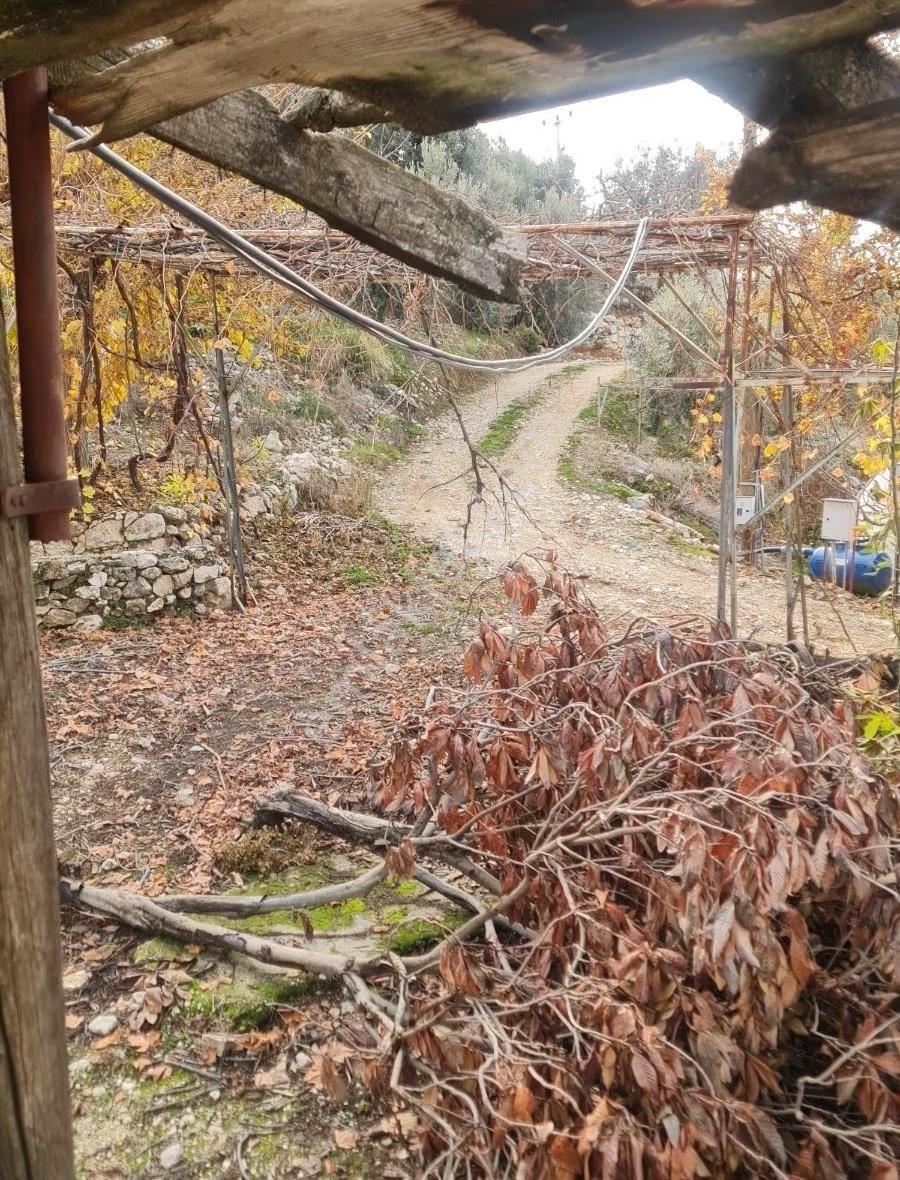 Yakaköyde 598 M2 Tarla Satılık. - Görsel 20