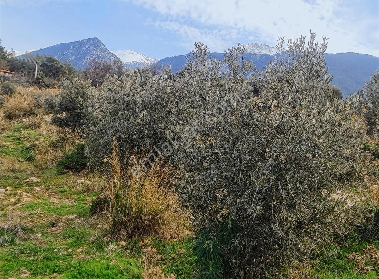 Yakaköy Mh.imarlı 3 Adet Arsa - Görsel 6