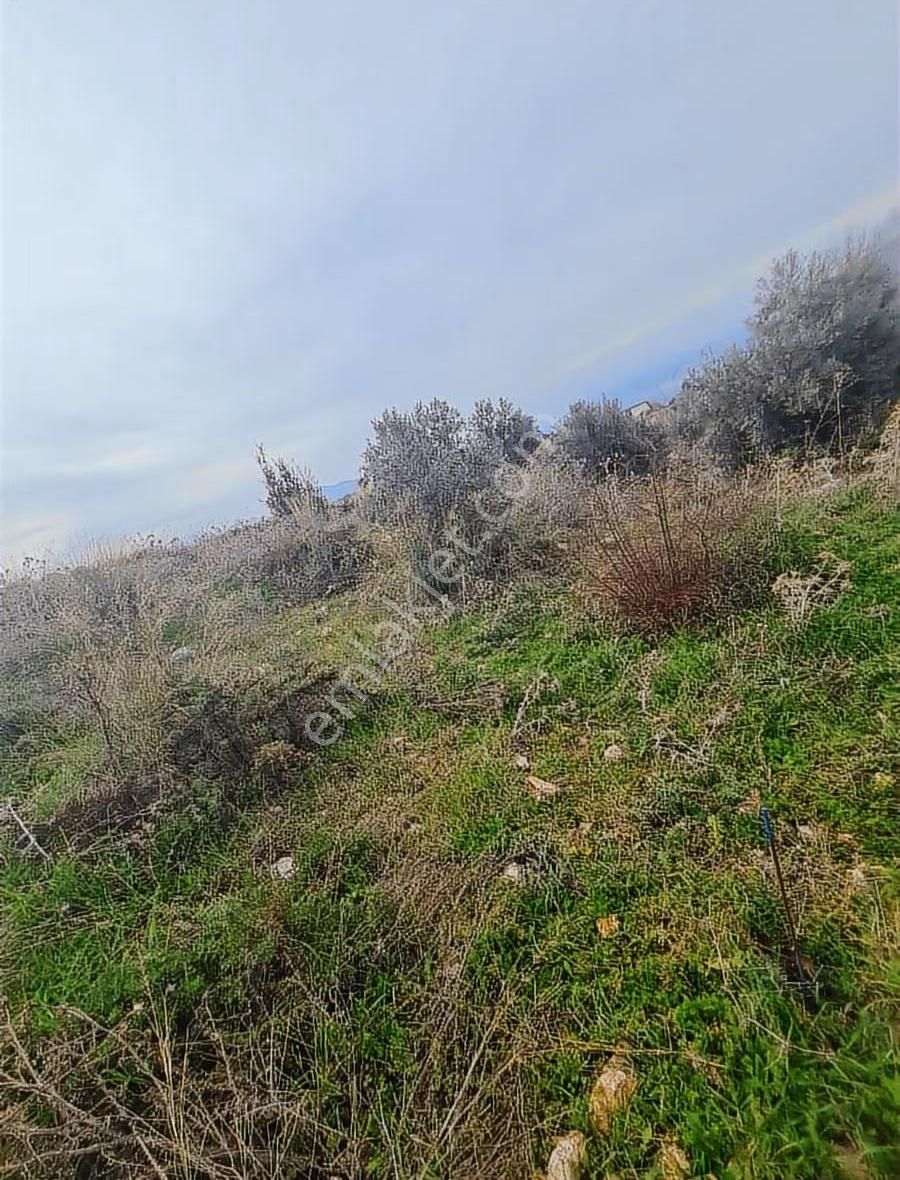 Yakaköy Mh.imarlı 3 Adet Arsa - Görsel 21