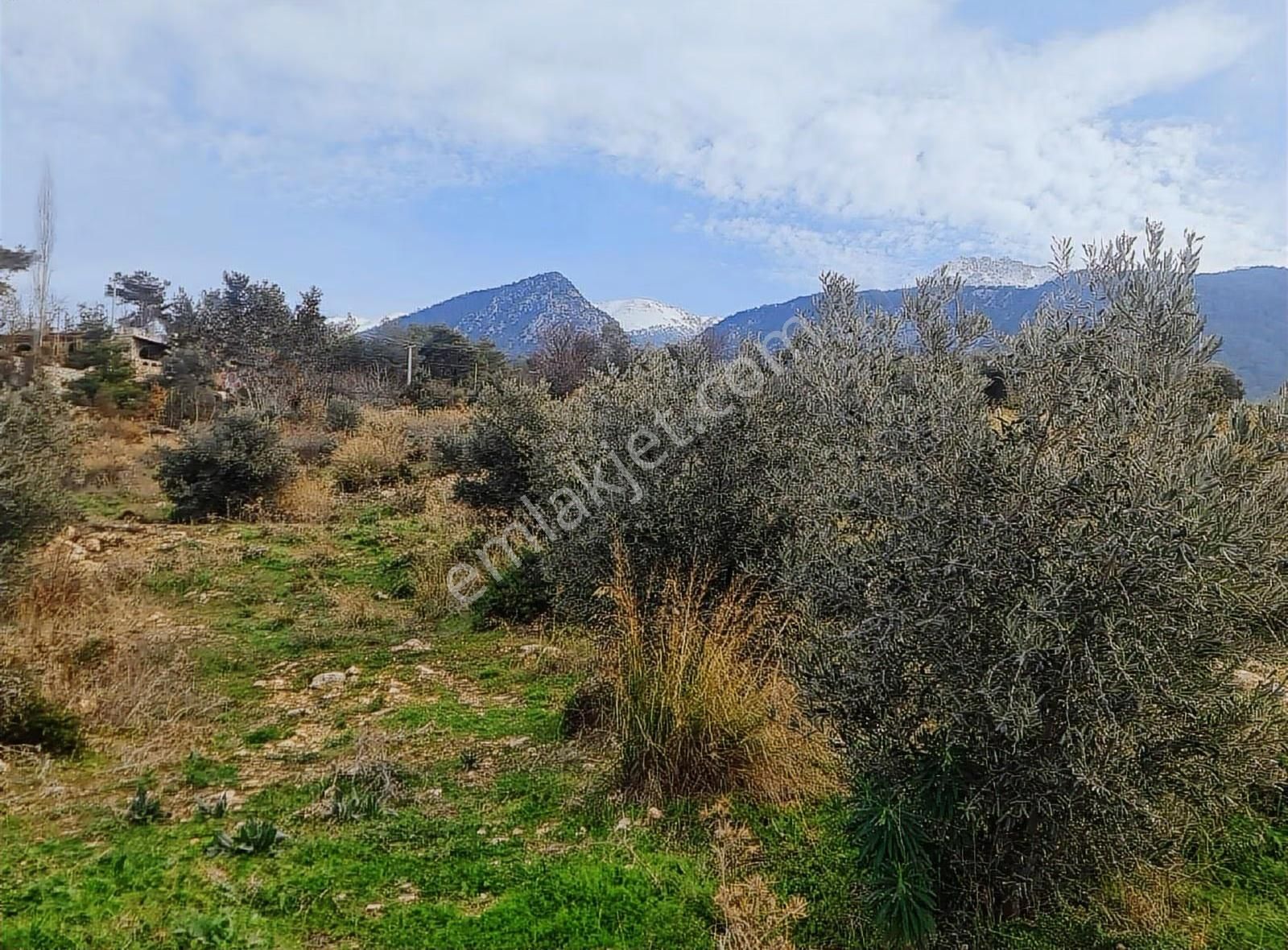 Yakaköy Mh.imarlı 3 Adet Arsa - Görsel 23