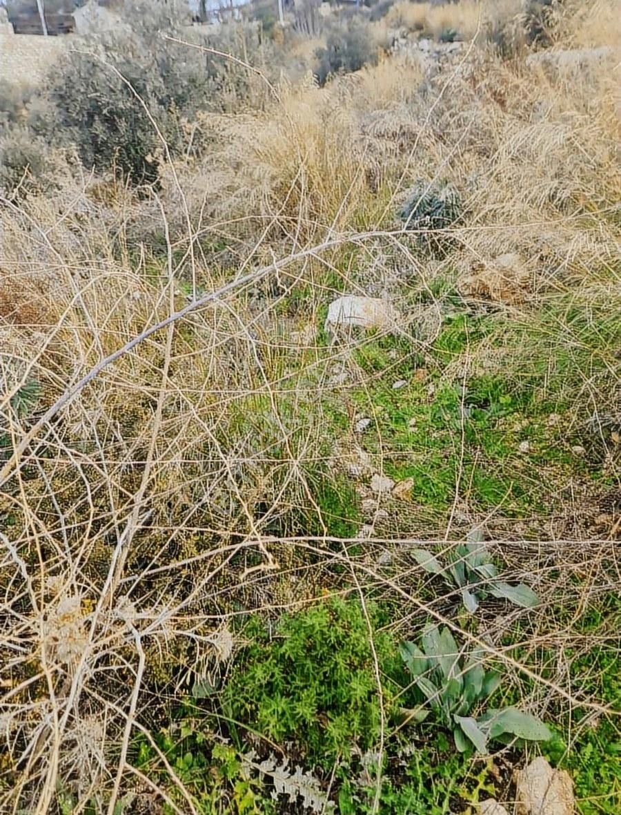 Yakaköy Mh.imarlı 3 Adet Arsa - Görsel 22