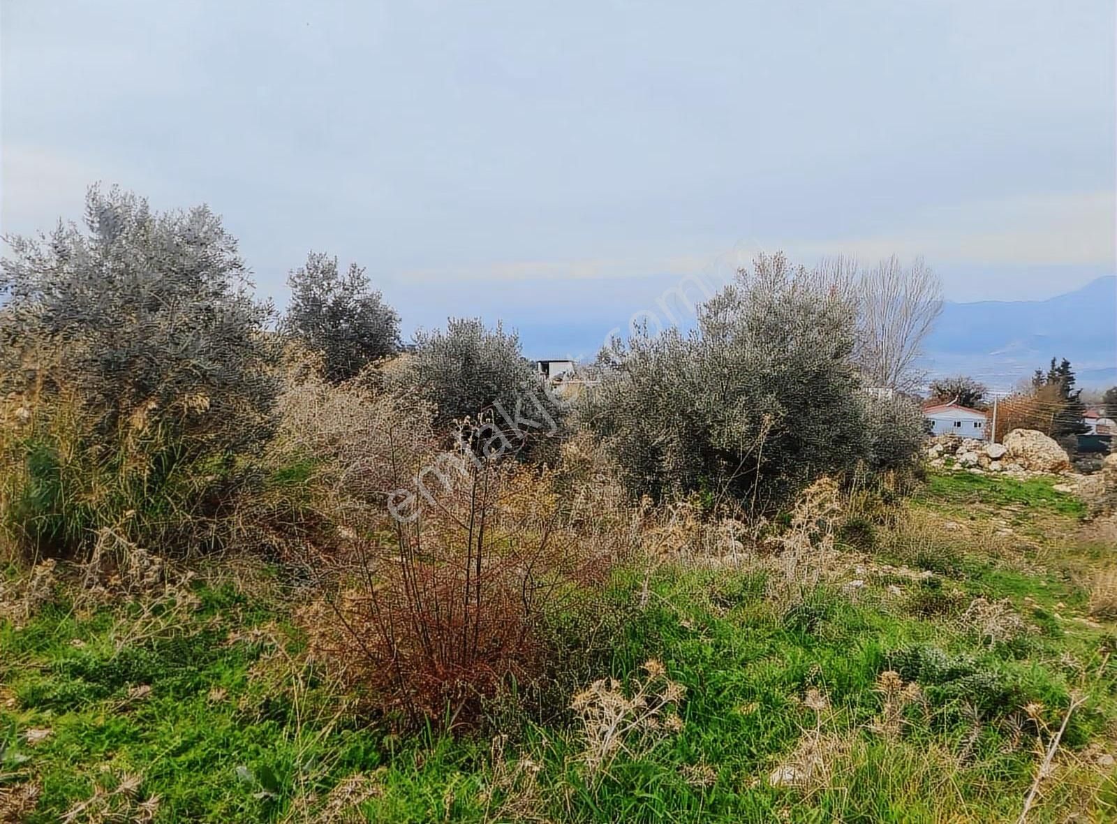 Yakaköy Mh.imarlı 3 Adet Arsa - Görsel 15