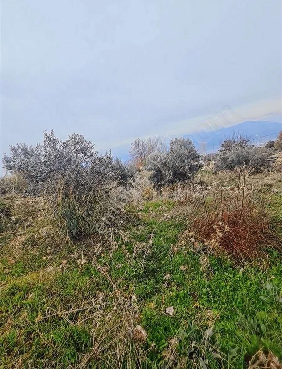 Yakaköy Mh.imarlı 3 Adet Arsa - Görsel 13