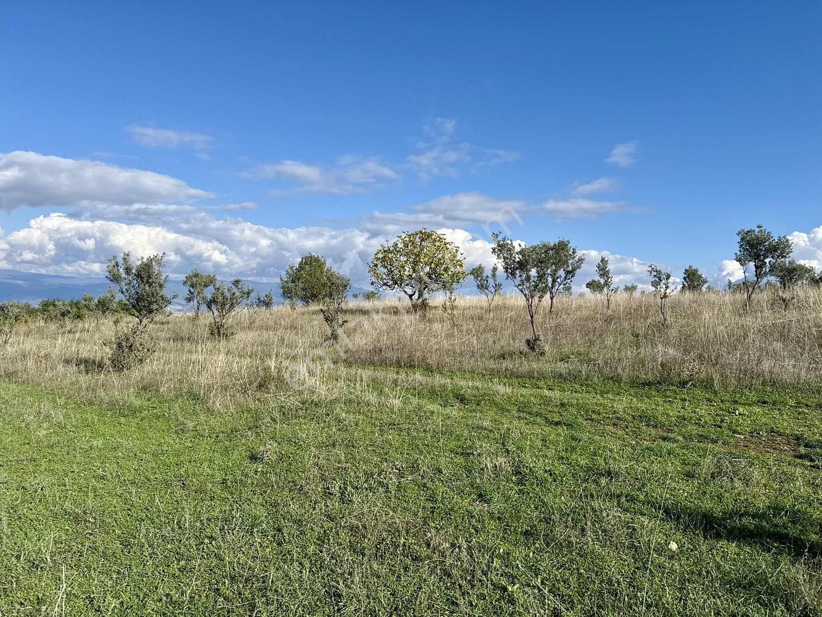Aydınlar'ın En Güzel Bölgesinde Muhteşem Manzaralı 2300 M2 Tarla - Görsel 30