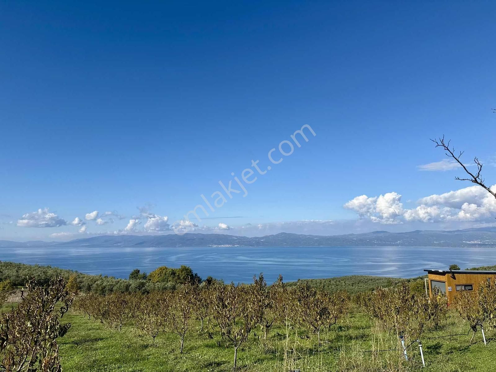 Aydınlar'ın En Güzel Bölgesinde Muhteşem Manzaralı 2300 M2 Tarla - Görsel 4