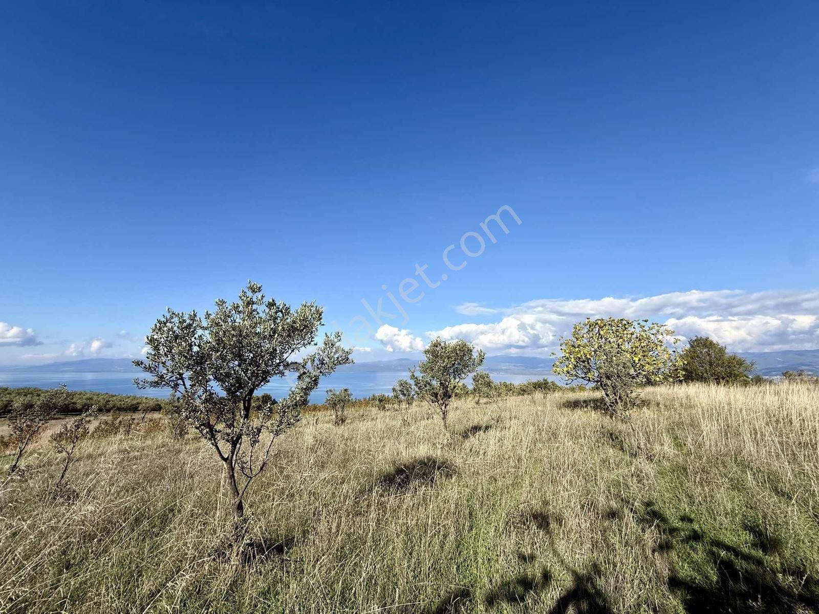 Aydınlar'ın En Güzel Bölgesinde Muhteşem Manzaralı 2300 M2 Tarla - Görsel 17