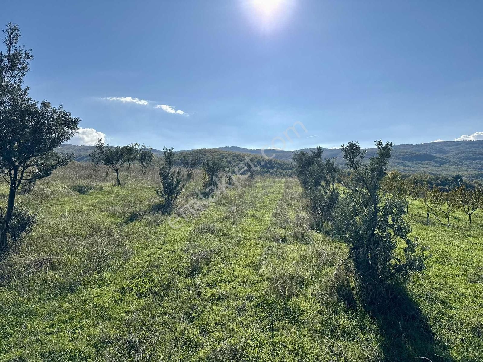 Aydınlar'ın En Güzel Bölgesinde Muhteşem Manzaralı 2300 M2 Tarla - Görsel 20