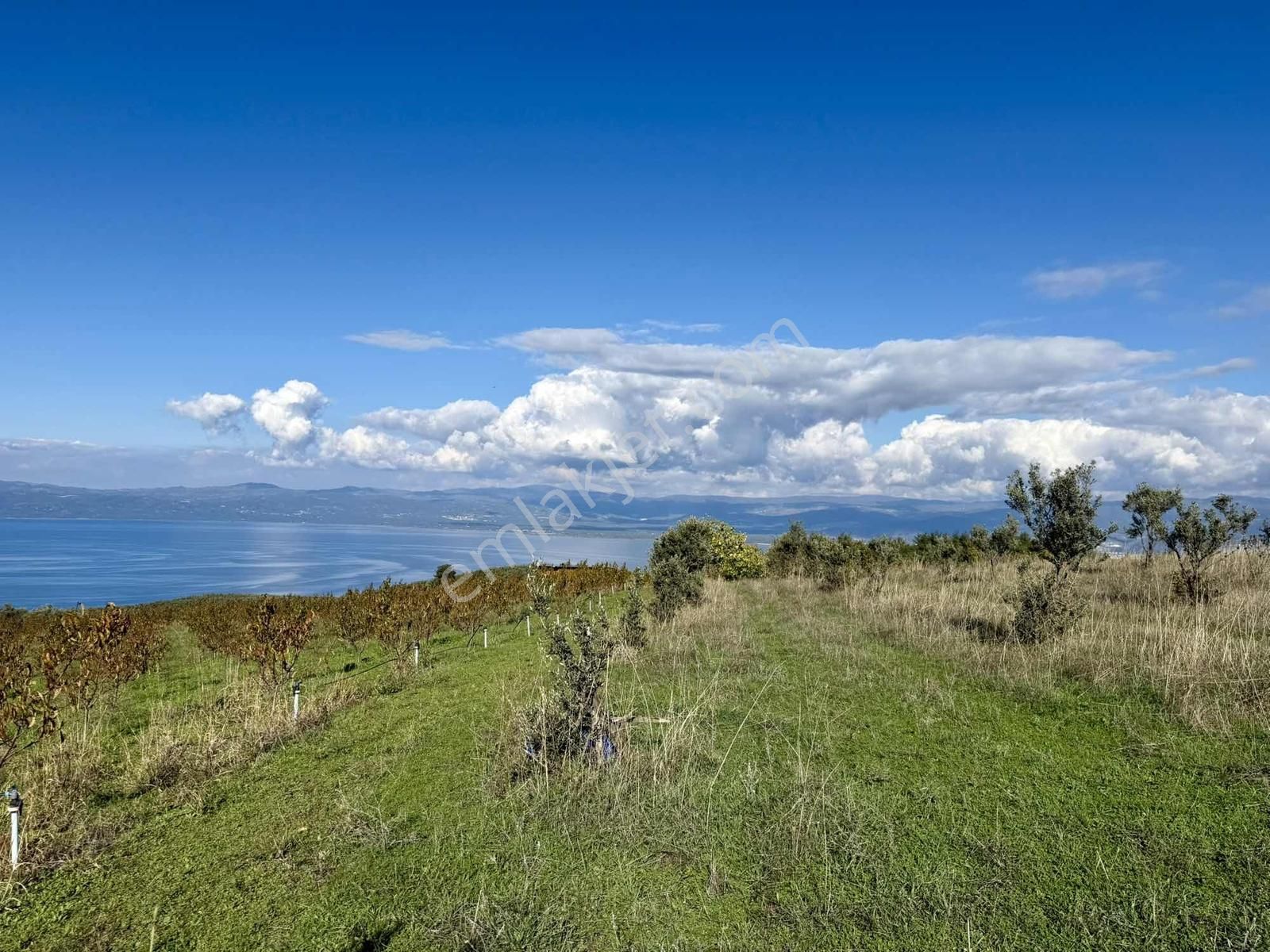 Aydınlar'ın En Güzel Bölgesinde Muhteşem Manzaralı 2300 M2 Tarla - Görsel 16