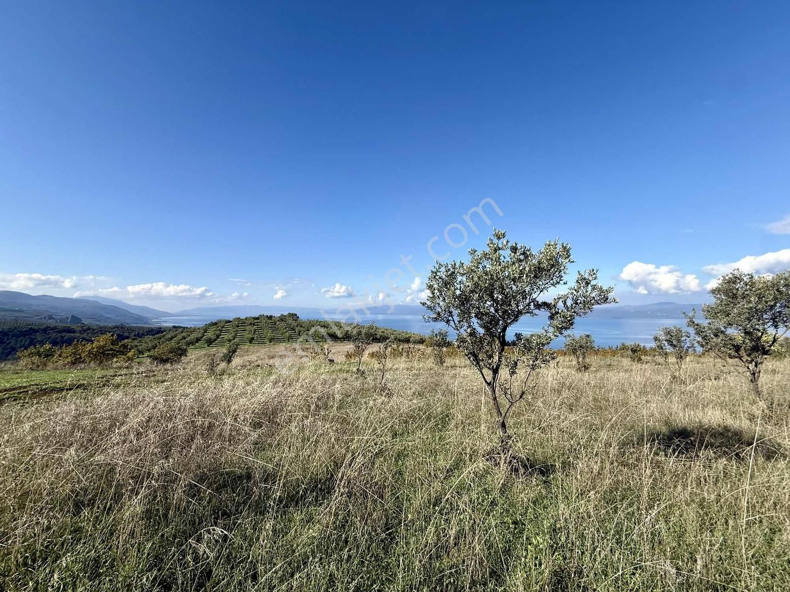 Aydınlar'ın En Güzel Bölgesinde Muhteşem Manzaralı 2300 M2 Tarla - Görsel 7