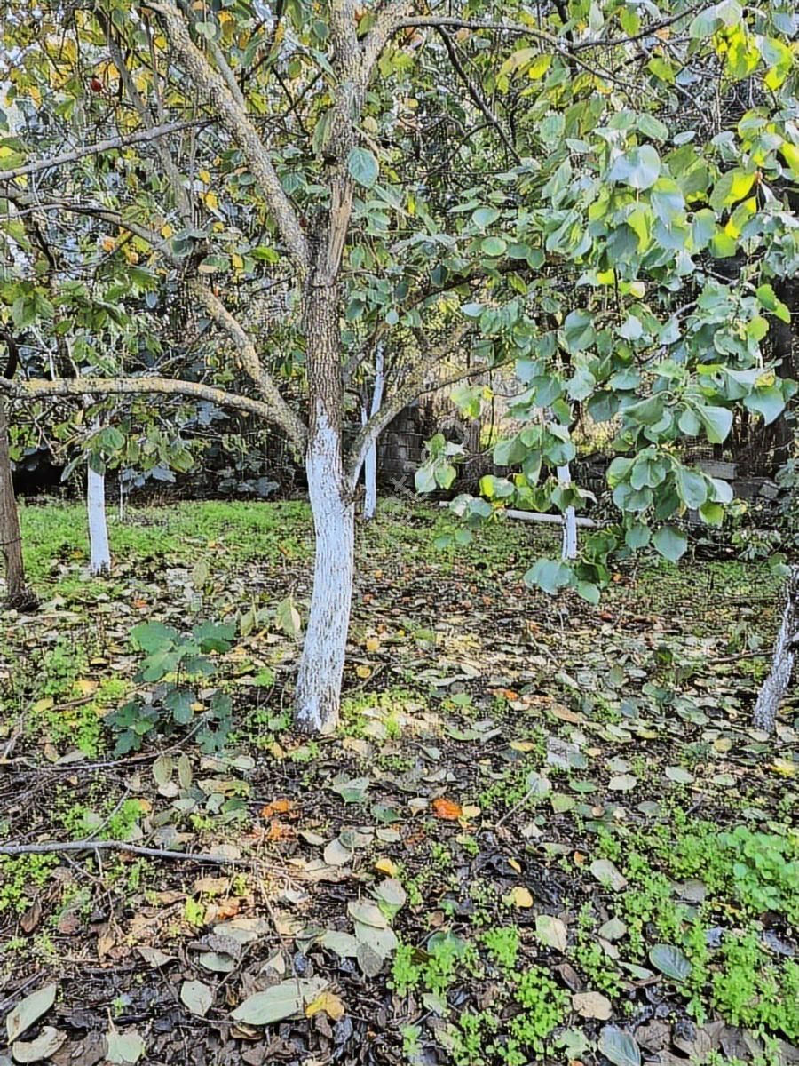 Mir'den Manyas - Kızıksa'da, Bakımlı, Geniş Ve Ferah Müstakil Ev - Görsel 23