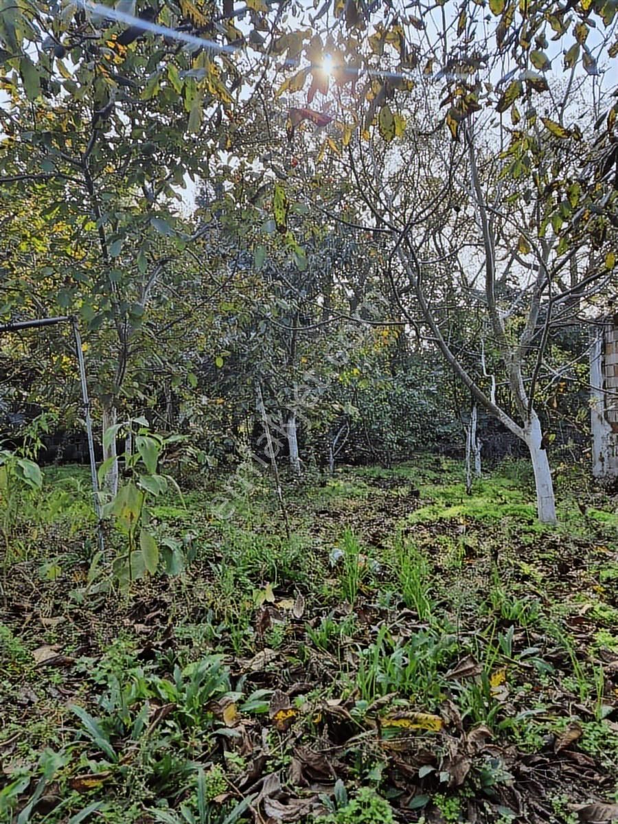 Mir'den Manyas - Kızıksa'da, Bakımlı, Geniş Ve Ferah Müstakil Ev - Görsel 30