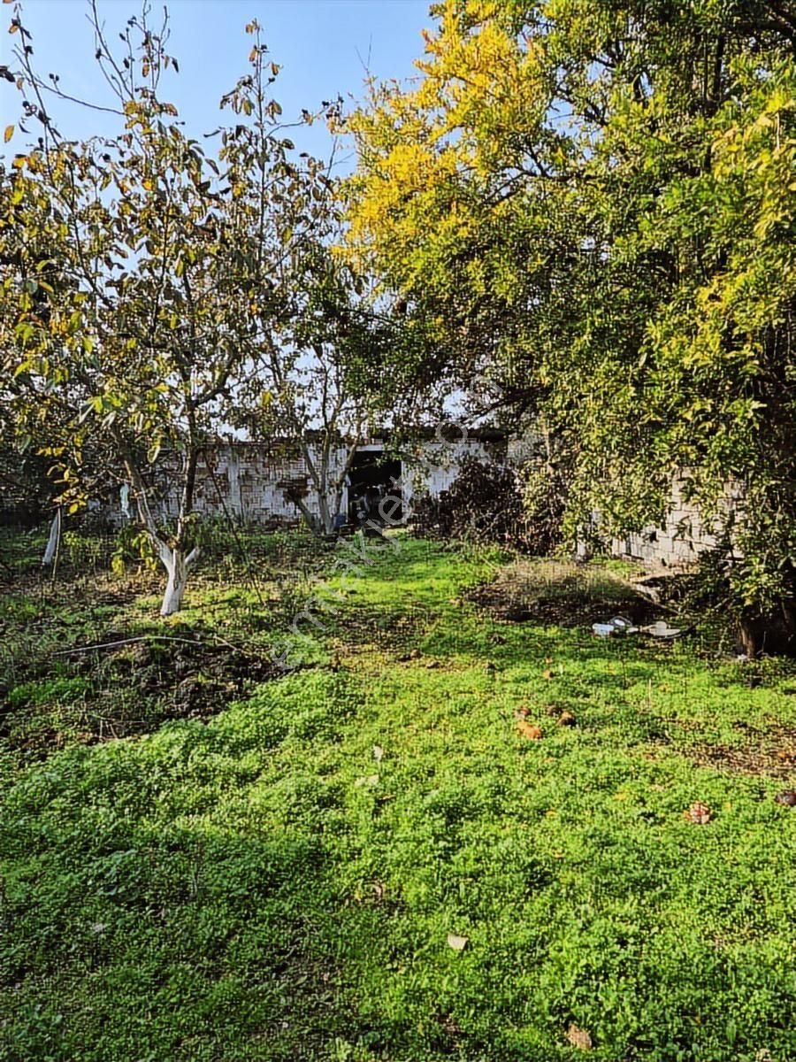 Mir'den Manyas - Kızıksa'da, Bakımlı, Geniş Ve Ferah Müstakil Ev - Görsel 31