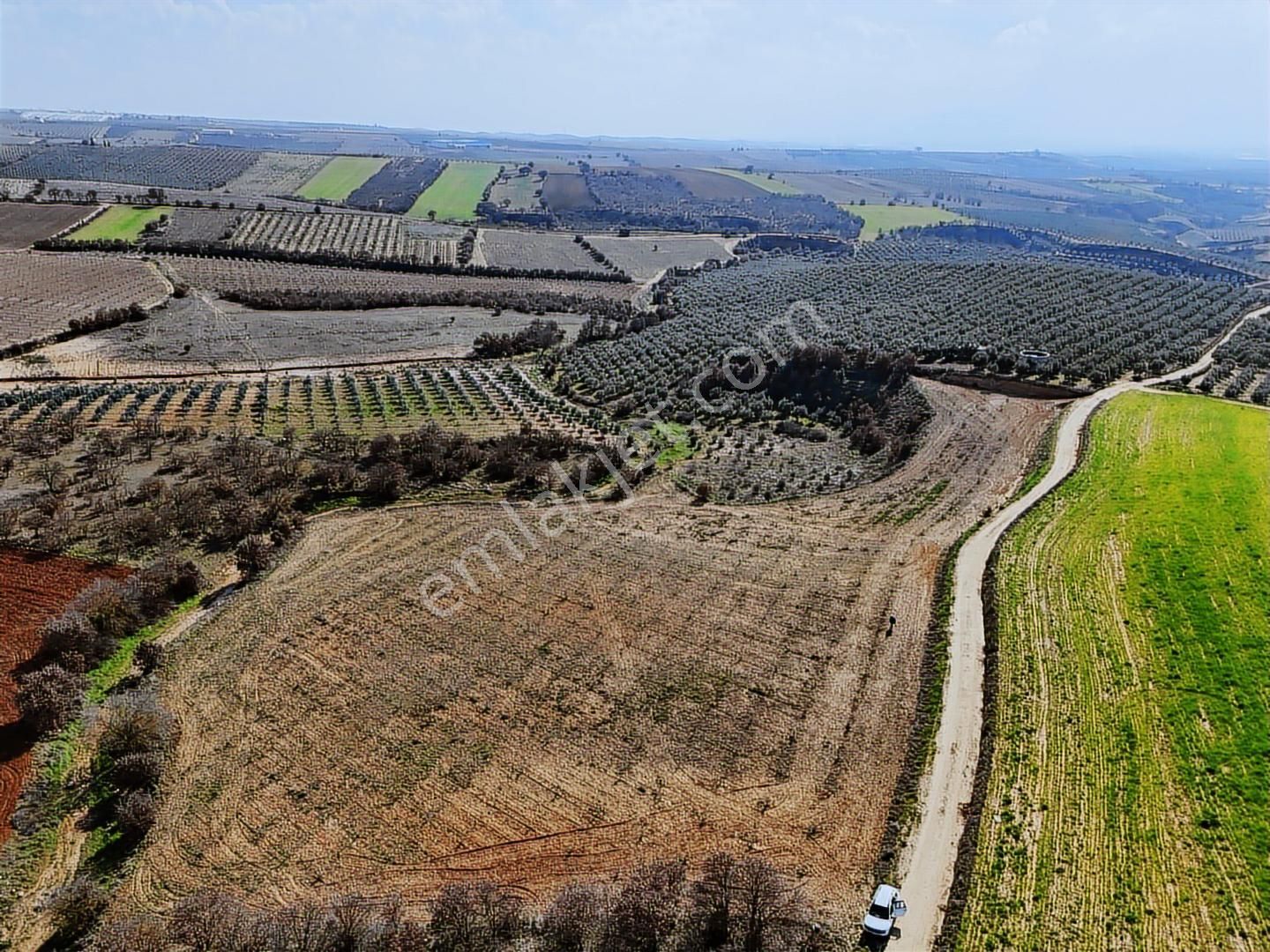Salihli Akviran'da Satılık 11585 M2 Yenice Zeytinlik (video) - Görsel 27