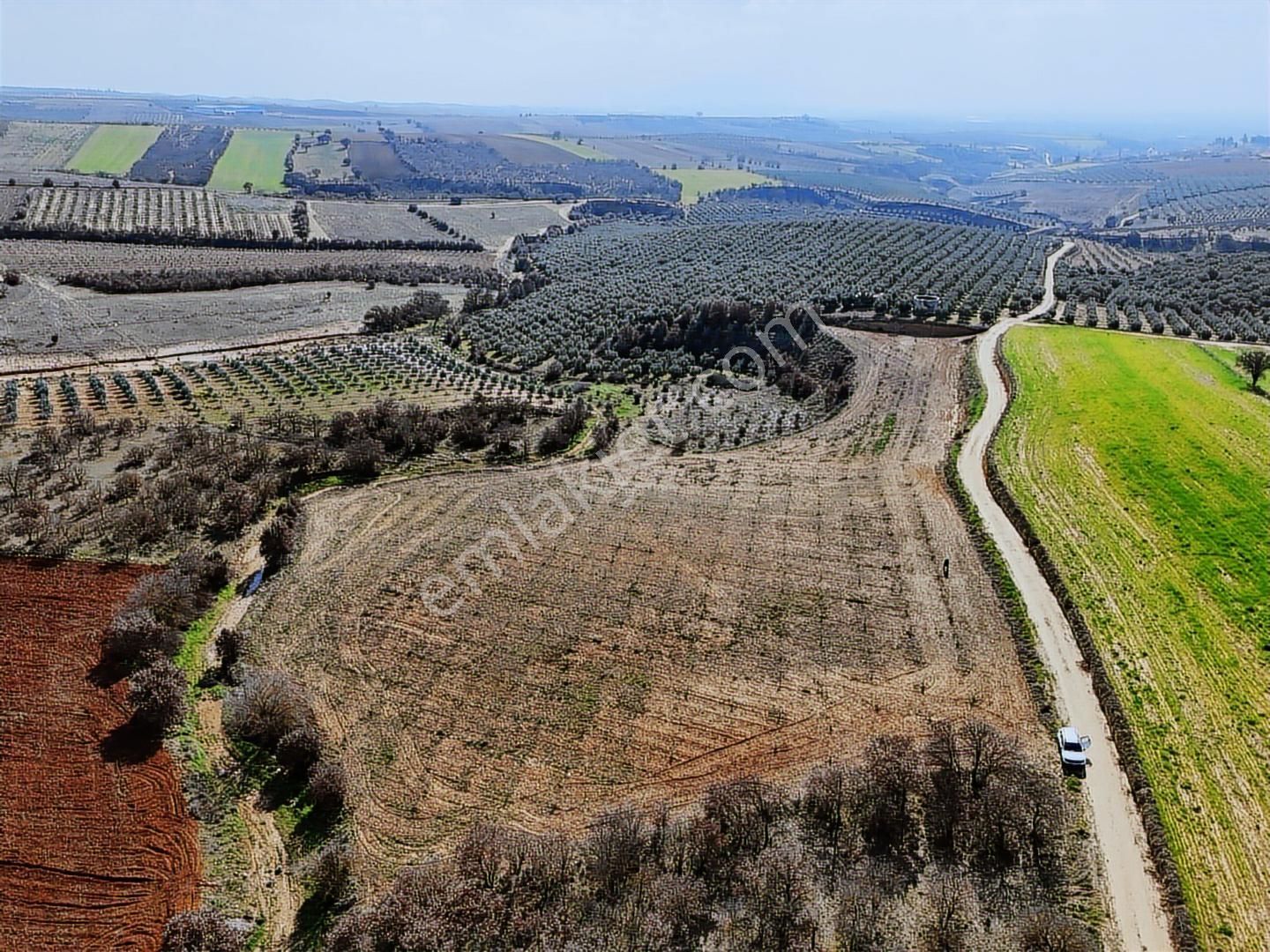 Salihli Akviran'da Satılık 11585 M2 Yenice Zeytinlik (video) - Görsel 25