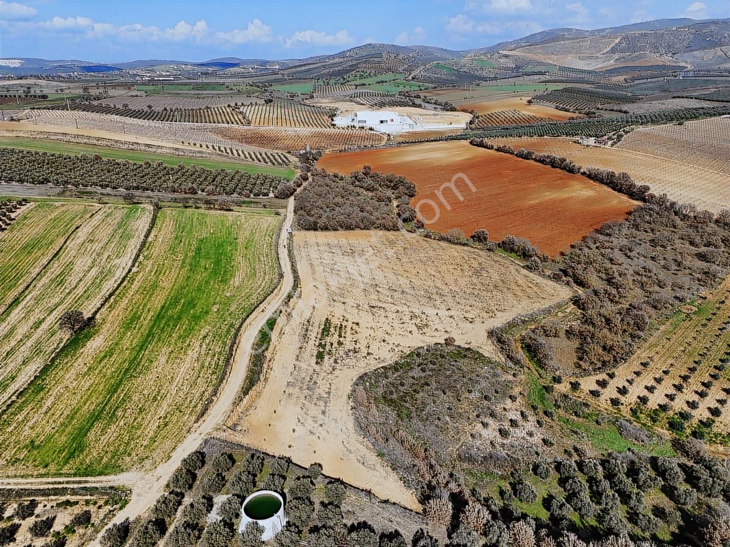 Salihli Akviran'da Satılık 11585 M2 Yenice Zeytinlik (video) - Görsel 7
