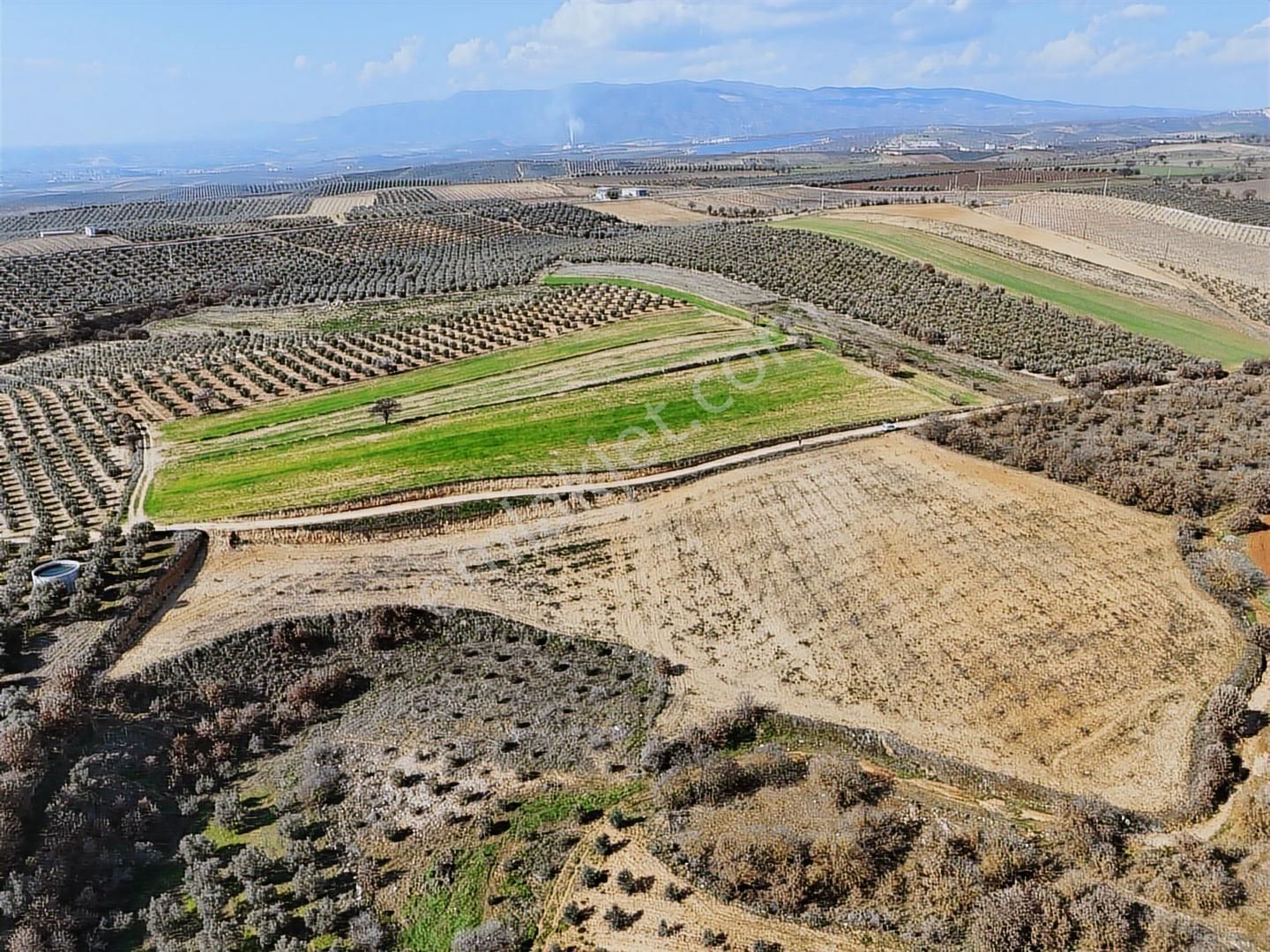 Salihli Akviran'da Satılık 11585 M2 Yenice Zeytinlik (video) - Görsel 26