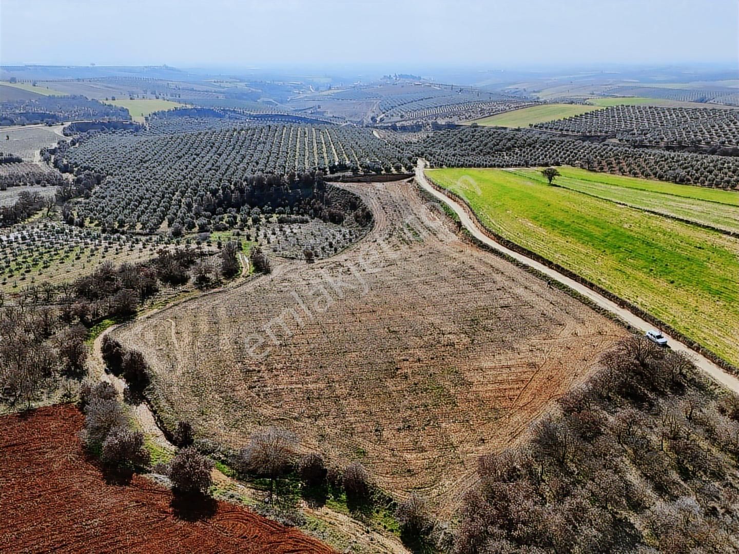 Salihli Akviran'da Satılık 11585 M2 Yenice Zeytinlik (video) - Görsel 2