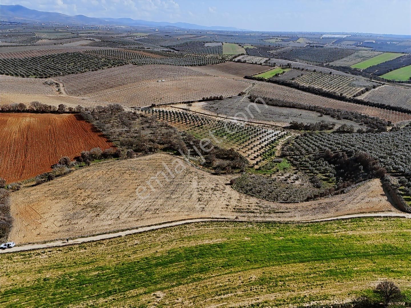 Salihli Akviran'da Satılık 11585 M2 Yenice Zeytinlik (video) - Görsel 23
