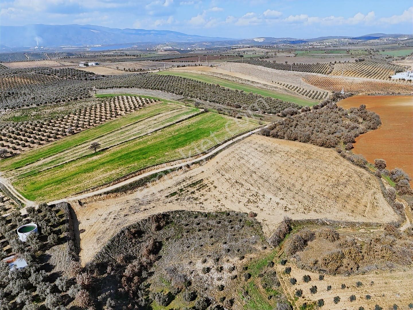 Salihli Akviran'da Satılık 11585 M2 Yenice Zeytinlik (video) - Görsel 28