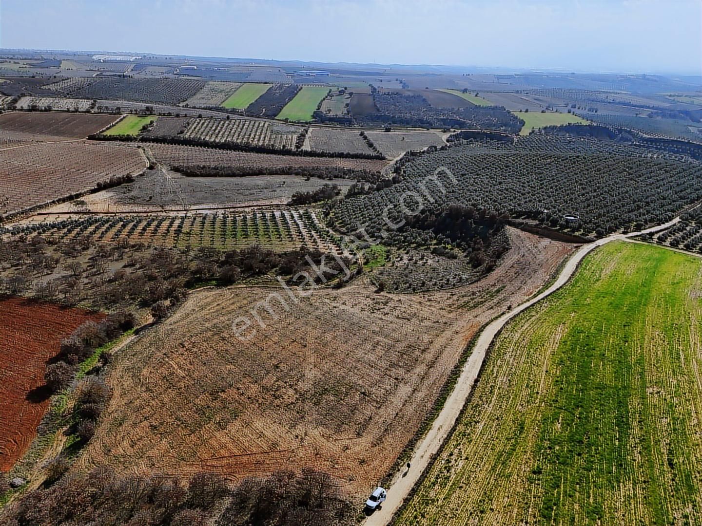 Salihli Akviran'da Satılık 11585 M2 Yenice Zeytinlik (video) - Görsel 13