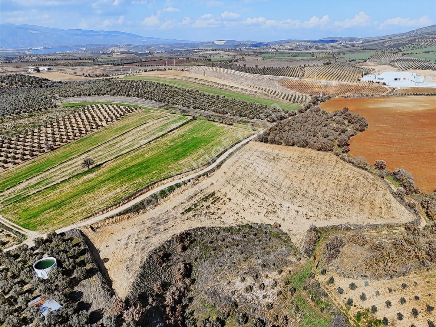 Salihli Akviran'da Satılık 11585 M2 Yenice Zeytinlik (video) - Görsel 20