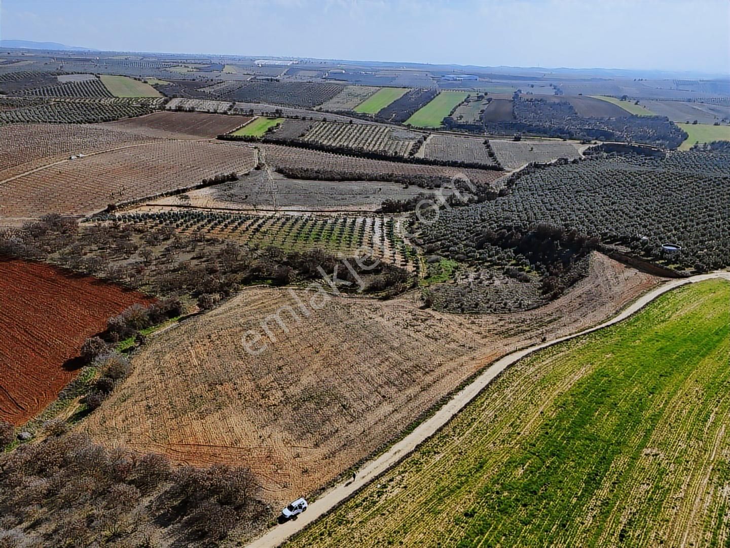 Salihli Akviran'da Satılık 11585 M2 Yenice Zeytinlik (video) - Görsel 12