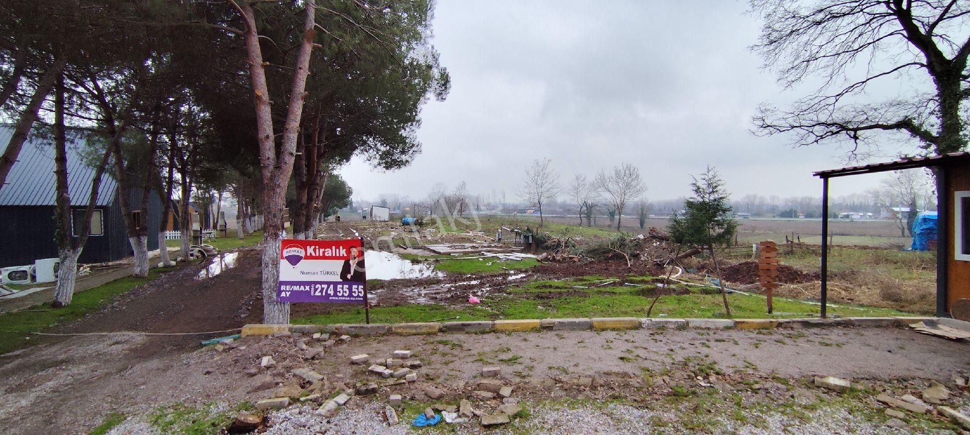 Adapazarı Poyrazlarda Bungalov Yapımına Uygun Kiralık Tarla