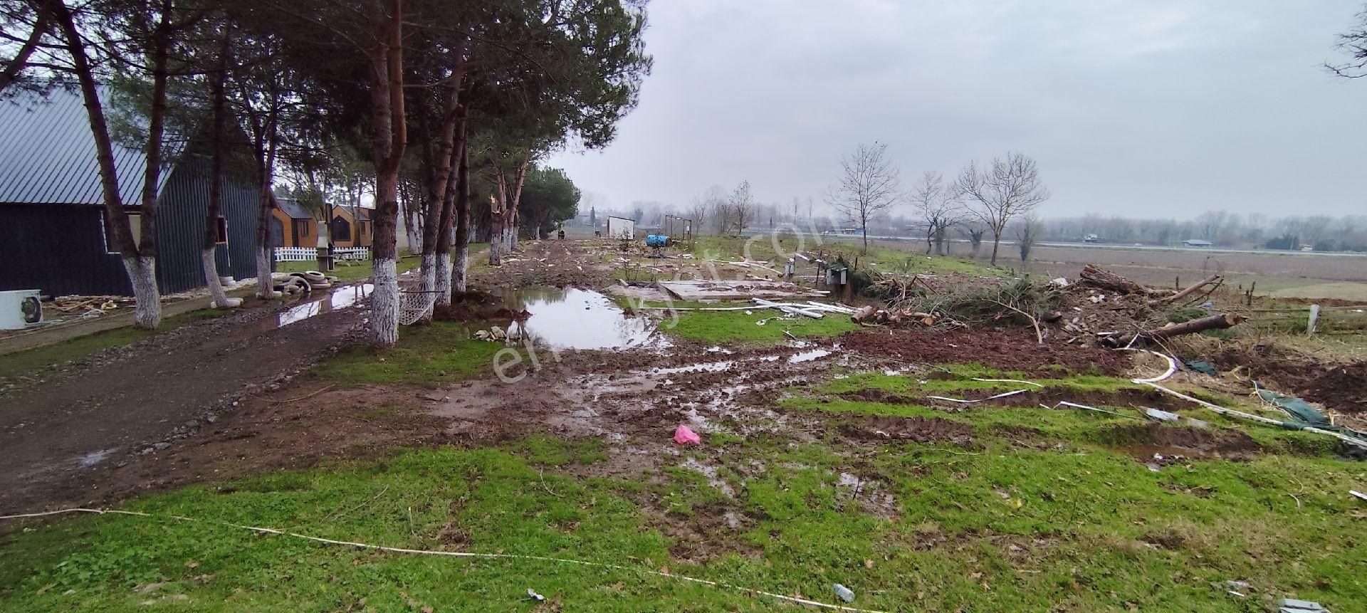 Adapazarı Poyrazlarda Bungalov Yapımına Uygun Kiralık Tarla - Görsel 2